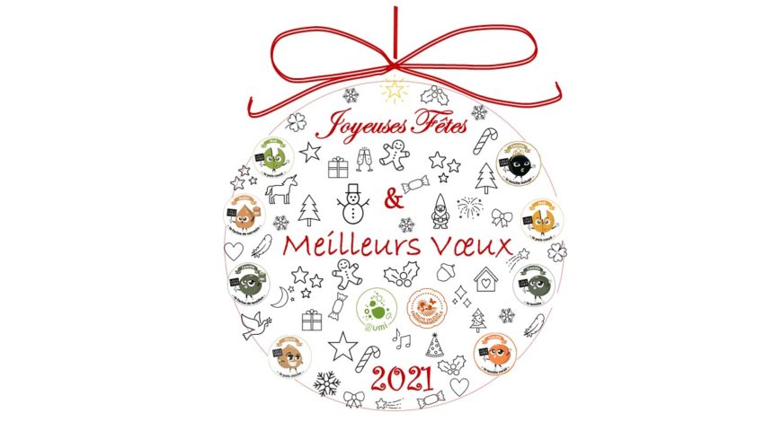 JOYEUSES FETES et MEILLEURS VOEUX pour l'année 2021