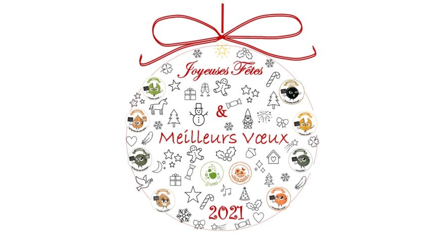 JOYEUSES FETES et MEILLEURS VOEUX pour l'année 2021