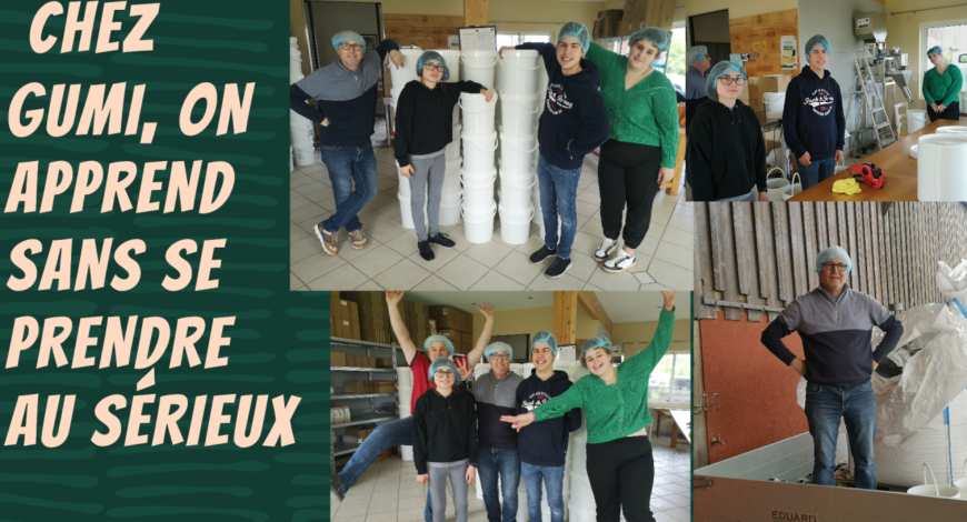 chez gumi, on apprend sans se prendre au sérieux